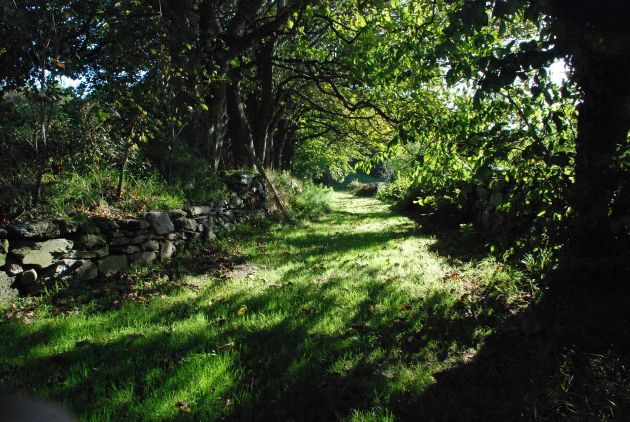 The Long Barn Lejlighed Skibbereen Eksteriør billede